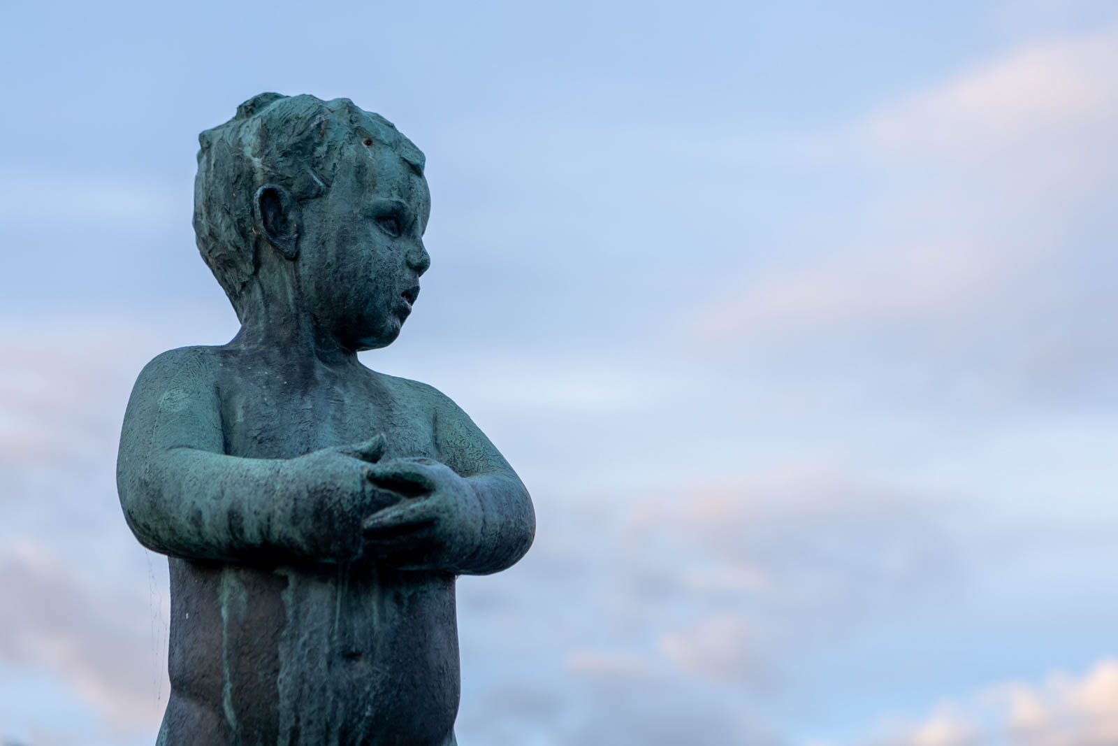 Vigelandsparkens ansikt 11