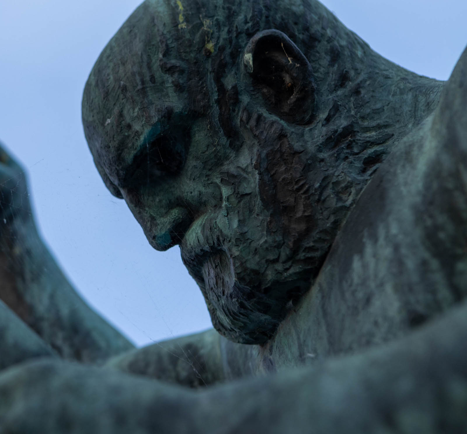 Vigelandsparkens ansikt 14